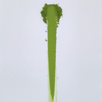 KIWAMI / Asahi Cultivar First Harvest Uji Matcha (30g)