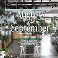 Matcha Chakabuki: Guided Blind Tasting & Learning Experience (August/September)