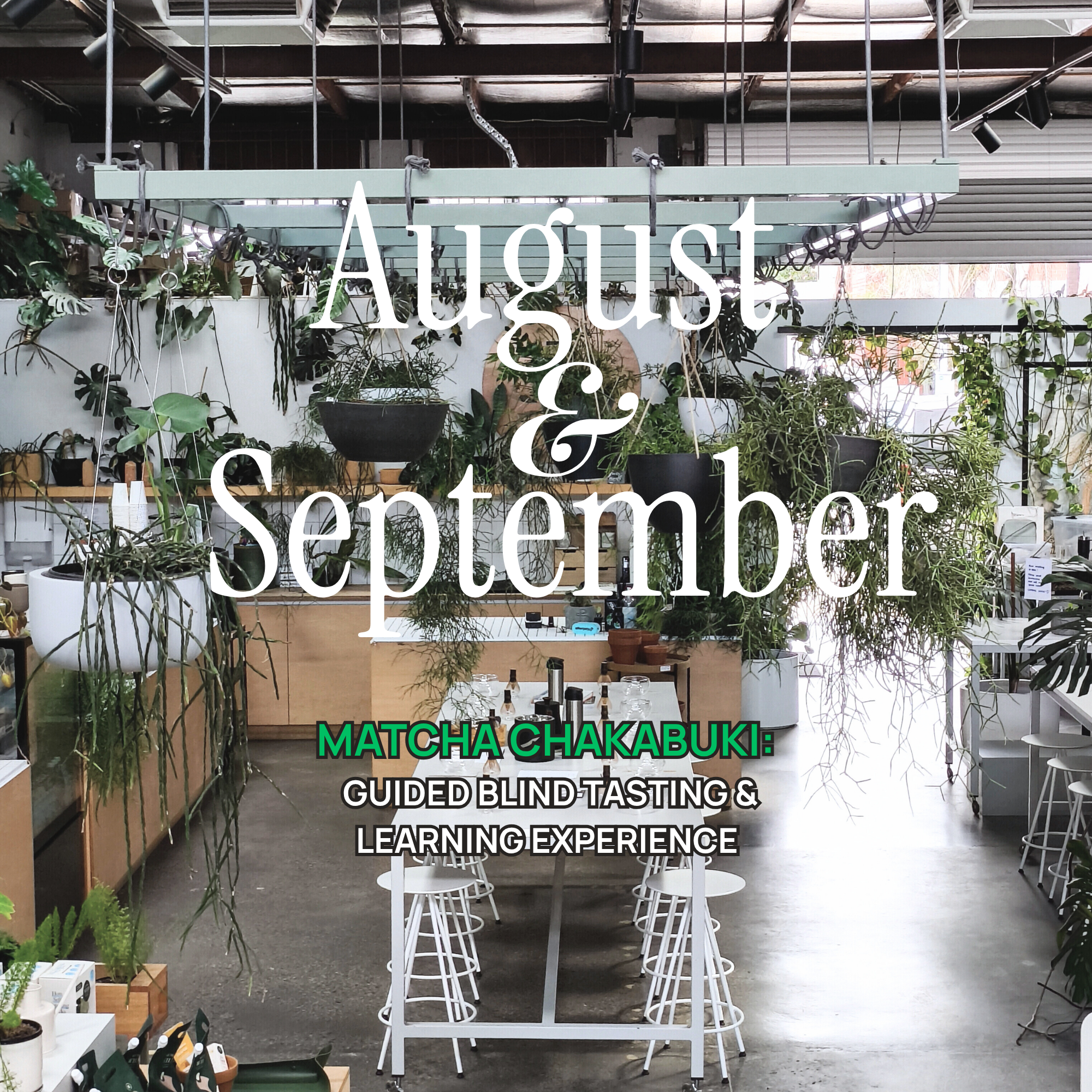 Matcha Chakabuki: Guided Blind Tasting & Learning Experience (August/September)