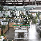 Matcha Chakabuki: Guided Blind Tasting & Learning Experience (April/ May)