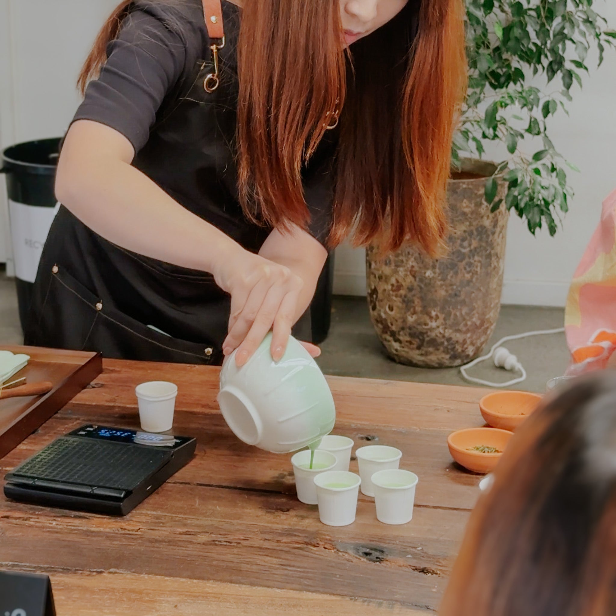 Matcha Chakabuki: Guided Blind Tasting & Learning Experience (February/ March)