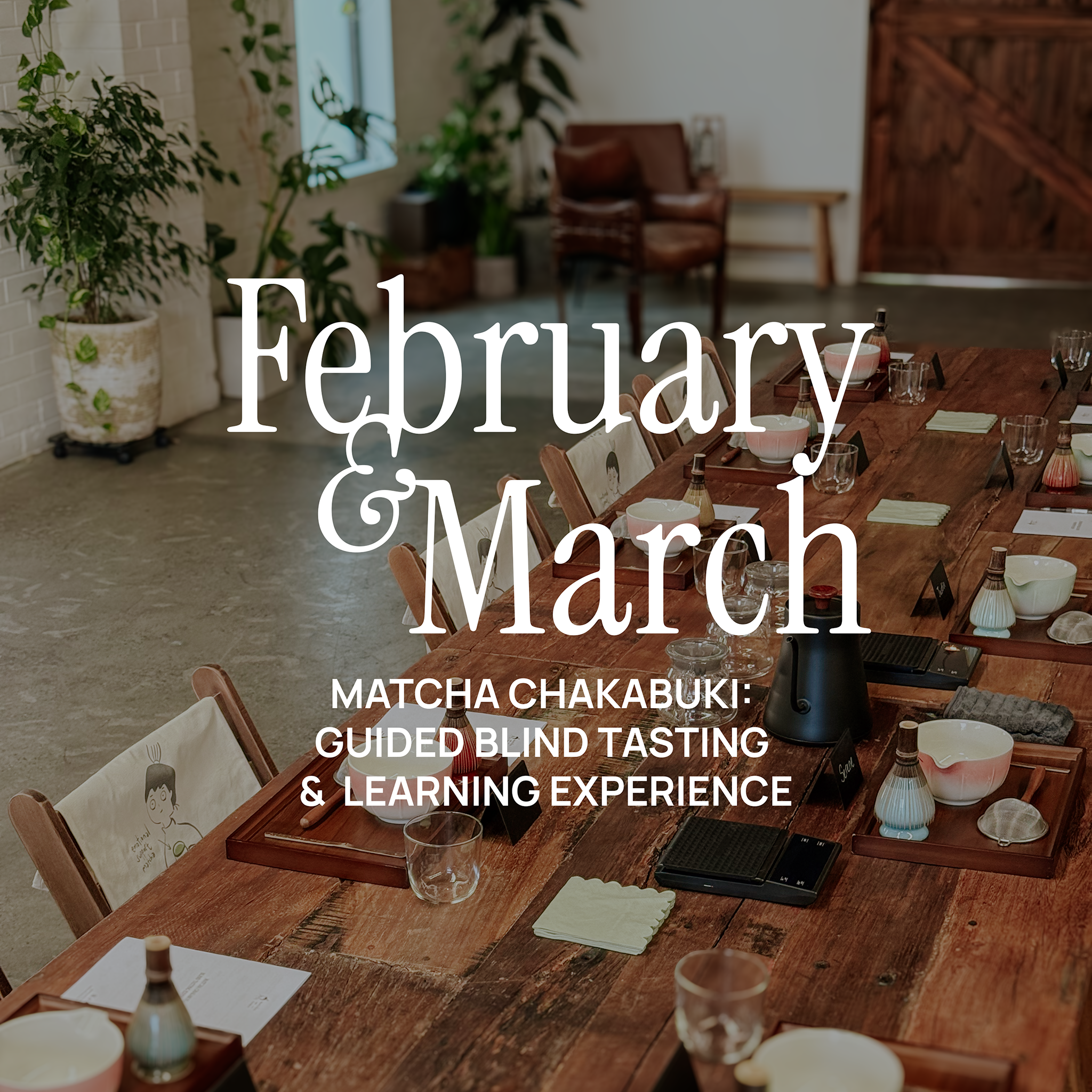 Matcha Chakabuki: Guided Blind Tasting & Learning Experience (February/ March)
